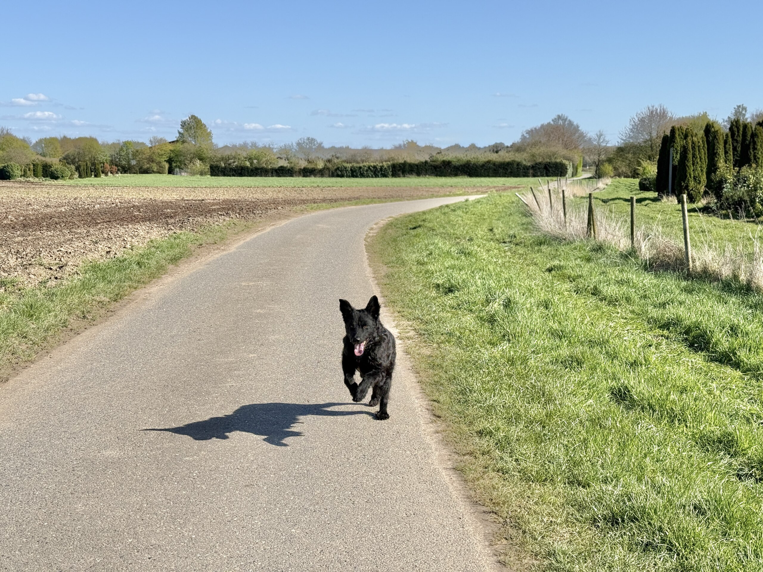 Let‘s get back to the 80s – #14 — Geocache of the Week – Official Blog