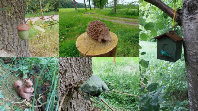 hiking and nature – Official Blog