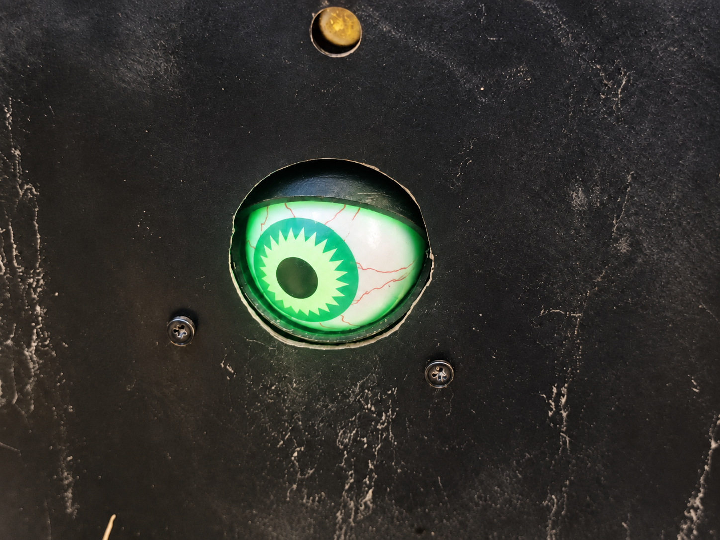 Halloween im Finsterwald das magische Auge — Geocache of the Week – Official Blog